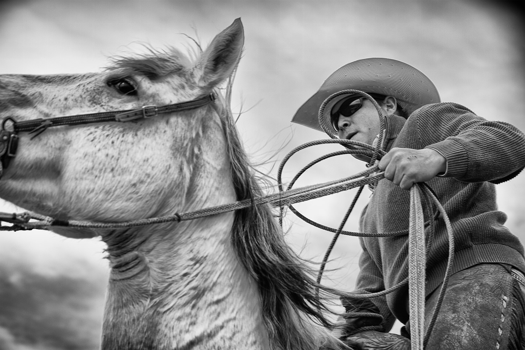 Cowboy Cattle Branding, Wilsal Montana by Dave White Phtographer 3 