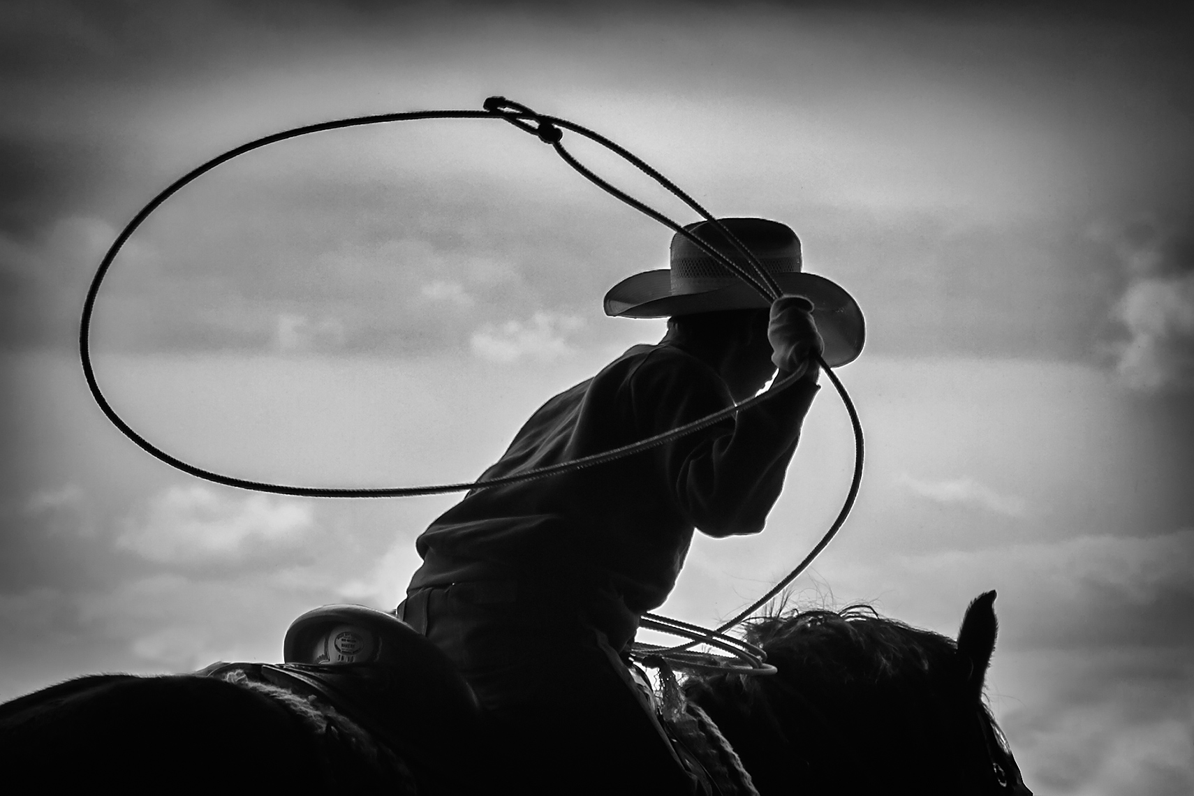 Cowboy Cattle Roping, Wilsal Montana by Dave White Photographer