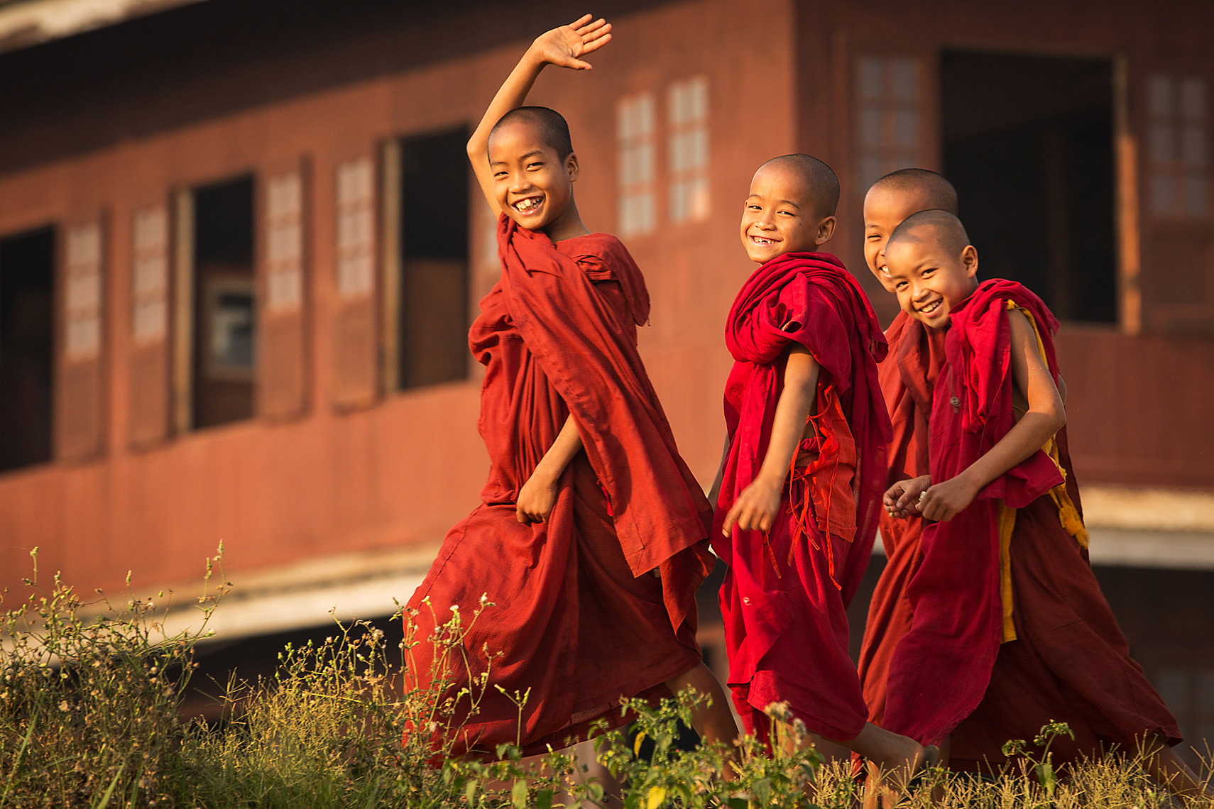 Monk-Novitiates-Burma by Dave White in Myanmar