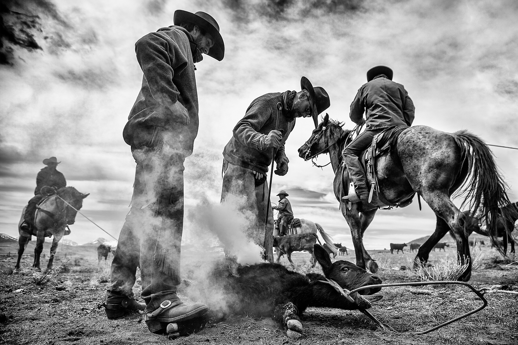 Cowboy Cattle Branding, Wilsal Montana by Dave White Phtographer
